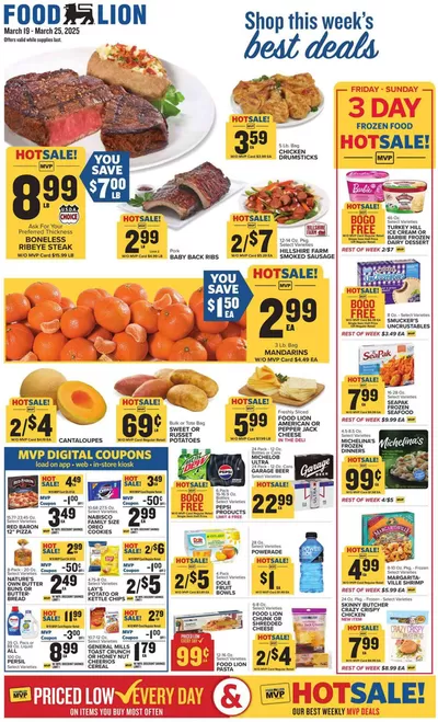 Grocery & Drug offers in Centreville VA | Top offers for all bargain hunters in Food Lion | 3/19/2025 - 3/25/2025