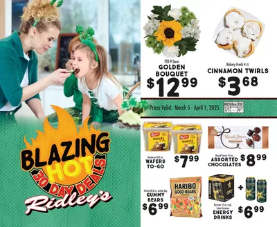 Ridley's Family Markets catalogue | Our best offers for you | 3/6/2025 - 4/1/2025