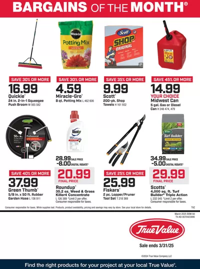 True Value catalogue | Wide range of offers | 3/1/2025 - 3/31/2025