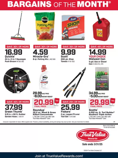 True Value catalogue | Current special promotions | 3/1/2025 - 3/31/2025