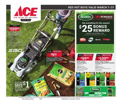 Ace Hardware catalogue | March Red Hot Buys | 3/5/2024 - 3/31/2024